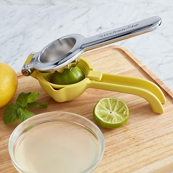 lemon squeezer in affordable price
