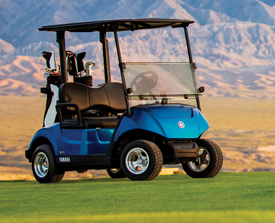 Golf Cart Batteries