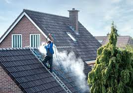  Roof Cleaning 