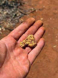 gold prospecting
