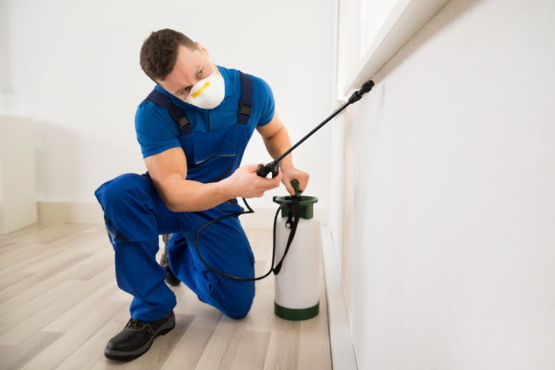 Pest Inspections